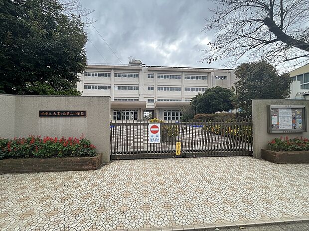 柏市立大津ケ丘第二小学校(約300m)