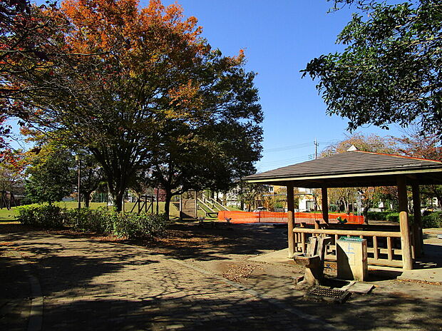 吉羽公園（約800m）