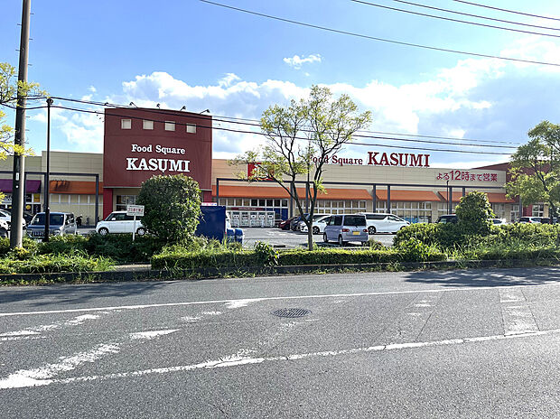 カスミフードスクエア ビバモール加須店(約600m)