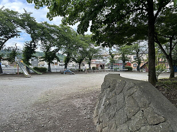 下田沼公園（約50m）