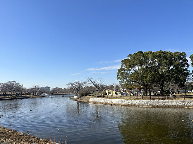 乙戸沼公園（約1,400m）