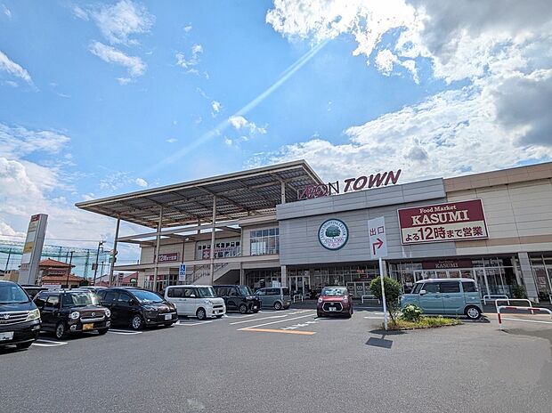 イオンタウン佐野（約550m）