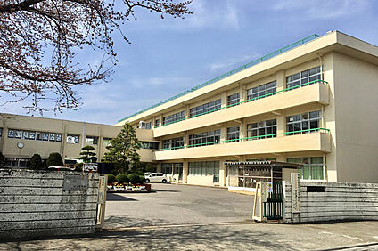 本庄市立中央小学校 徒歩1300m