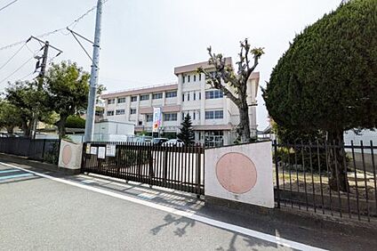高崎市立大類小学校 徒歩900m