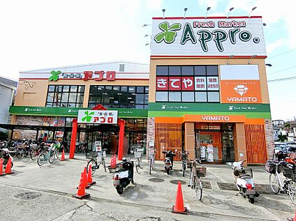  周辺環境２ 食品館アプロ国分店 1269ｍ(徒歩16分)