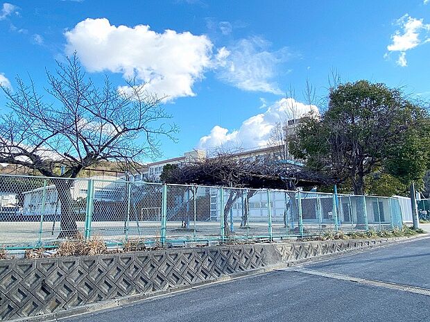 柏原市立玉手小学校（約336m）