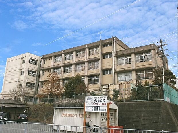 羽曳野市立丹比小学校(約984m)