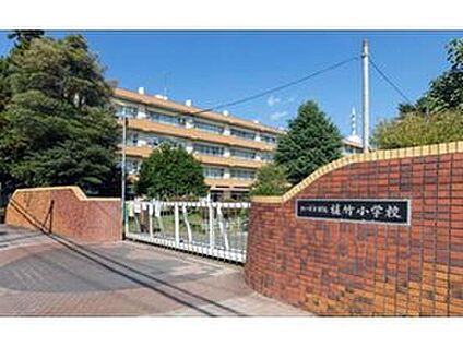 植竹小学校 1040m