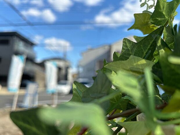 【照ヶ丘矢田3丁目】
近鉄南大阪線「矢田」駅まで徒歩6分の立地です。完全自由設計対応につき、ライフスタイルに合わせた理想のマイホームを建築いただけます。
