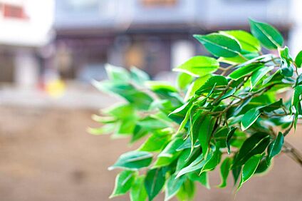 【和光ホームズ 松3丁目 分譲地】