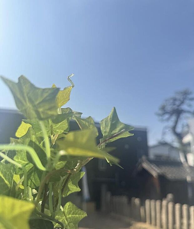 【【現地写真】】小学校まで徒歩1分！幼稚園や保育園、中学校までも徒歩7分圏内の立地です。子育て環境と利便性が両立した住環境も魅力。周辺環境と併せて、ぜひご検討ください。