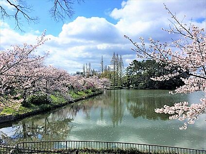 桃ケ池公園 約550m(徒歩7分)