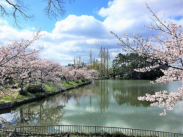 桃ケ池公園