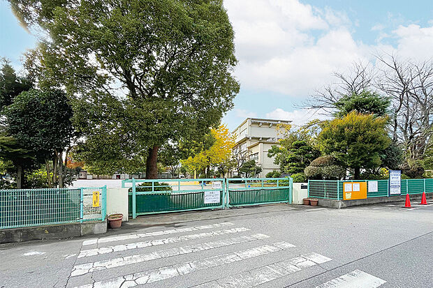 柏市立柏第八小学校(通学区域)（現地より徒歩11分）