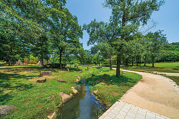 21世紀の森と広場（現地より徒歩17分）