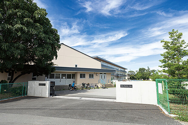 柏市立田中小学校(通学区域)（現地より徒歩10分）
