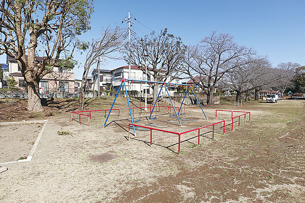 東初石3号緑地(ふれあい公園)（現地より徒歩3分）
