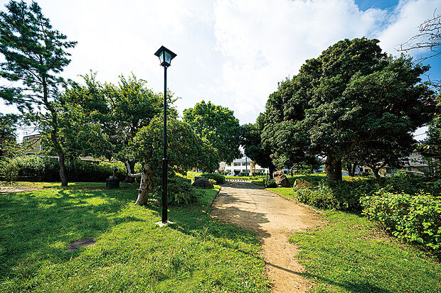 柴崎台中央公園（現地より徒歩13分）