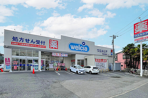 ウエルシア柏酒井根店（現地より徒歩13分）