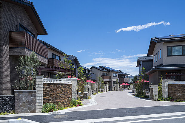 大空が広がる電線地中化の街並。美しい街路に沿って自然を感じるウォールやパーゴラが街を彩ります。