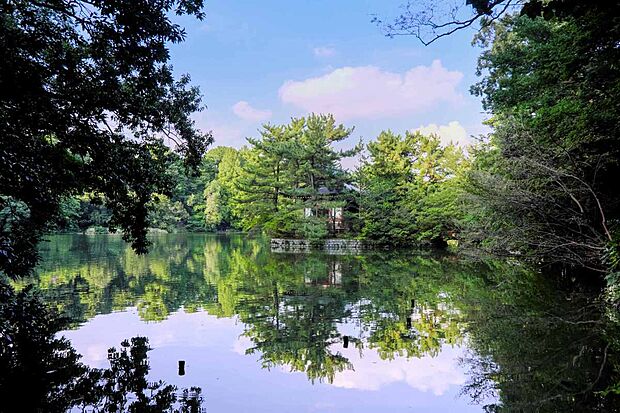 三宝寺池