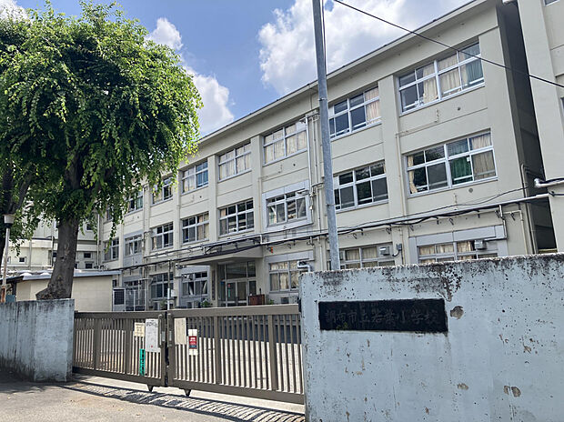 市立若葉小学校（約900m）