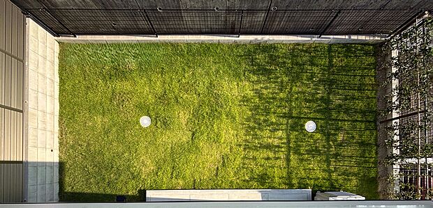 【■南庭】南庭