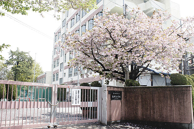 陽明小学校(約1,170m)