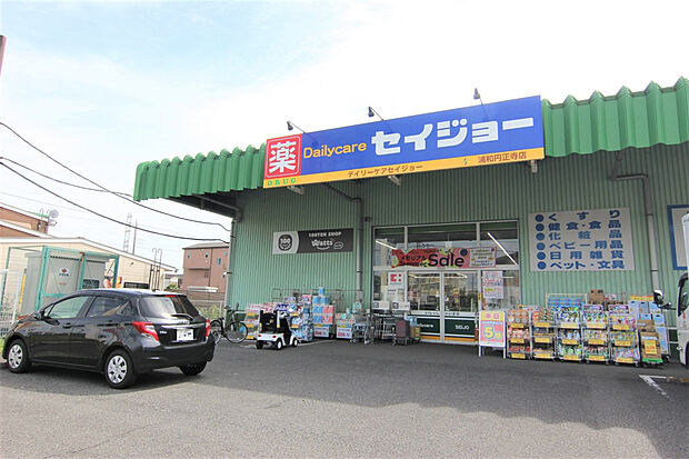 デイリーケアセイジョー浦和円正寺店（約690m）