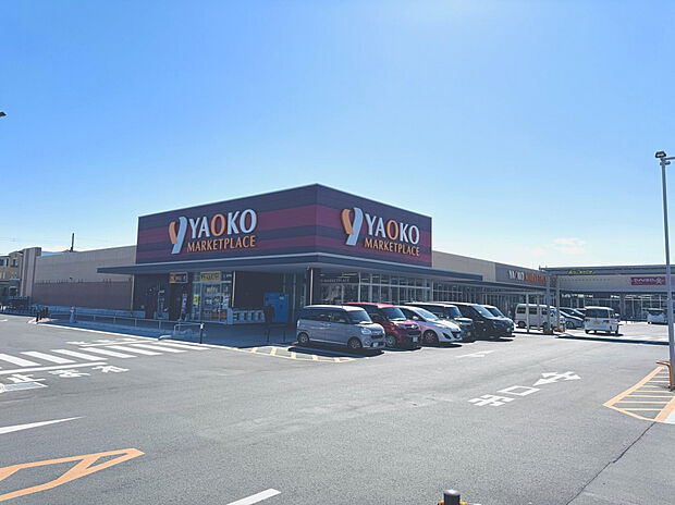 ヤオコー加須店・ダイソー加須店（約350m）