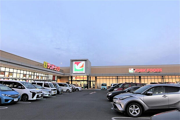 ヨークフーズ・サンドラッグ（約650m）