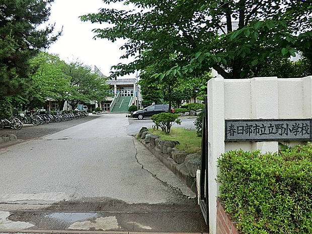 立野小学校（約250m）
