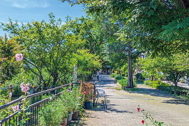 谷古田河畔緑道(現地より徒歩3分)