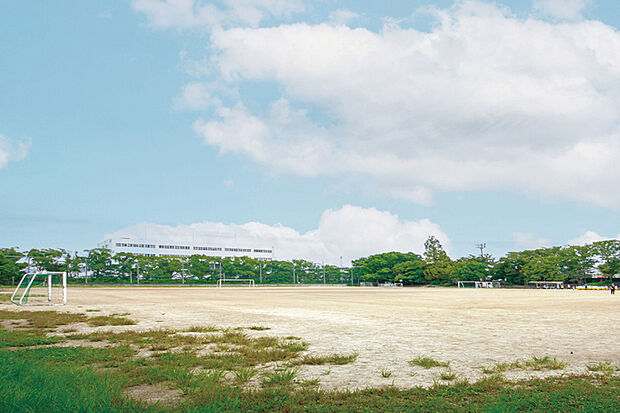 越谷流通公園(現地より徒歩13分)