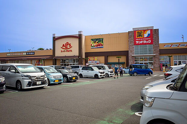 コピオ入間（約480m）