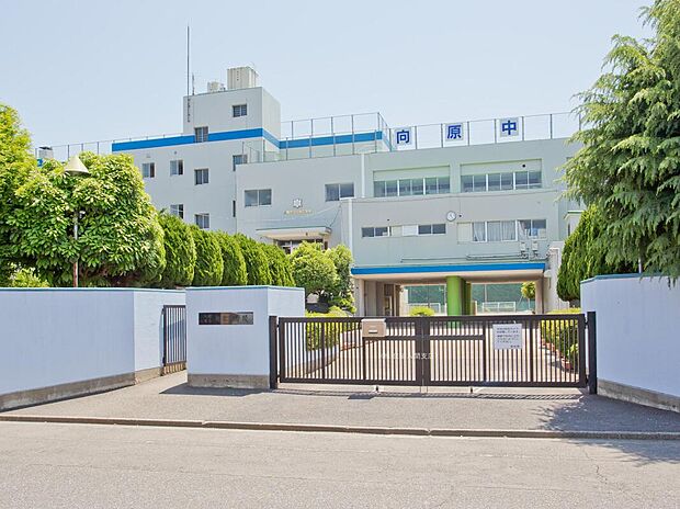 入間市立向原中学校(約230m)