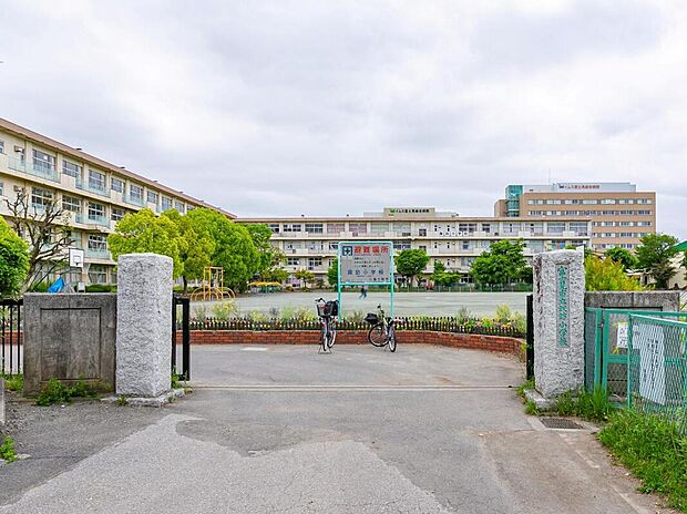 富士見市立諏訪小学校（約550m）