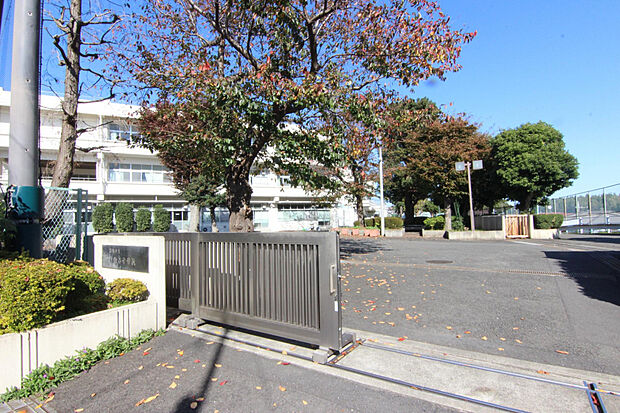 下瀬谷中学校(約985m)