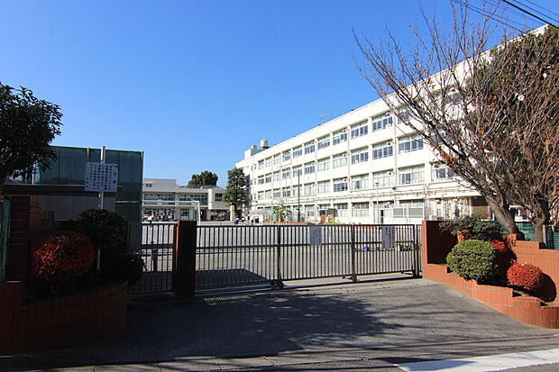 中沢小学校（約137m）