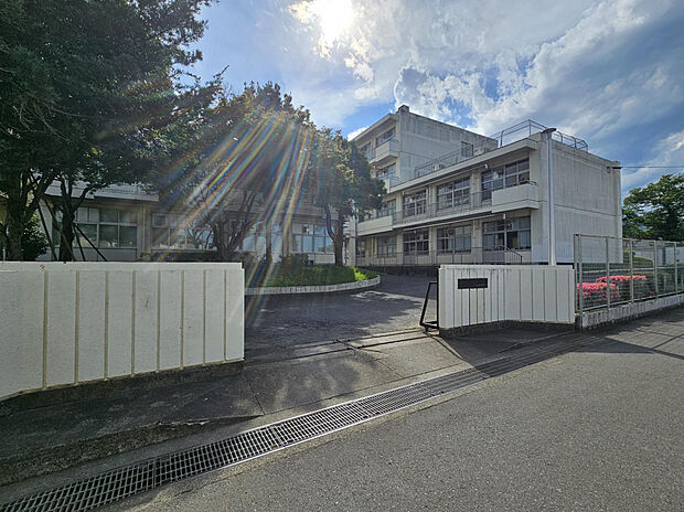 伊勢原中学校（約338m）