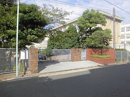 名古屋市立新郊中学校 801m(徒歩11分)