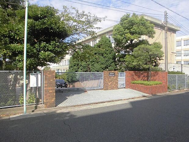 名古屋市立新郊中学校（約801m）