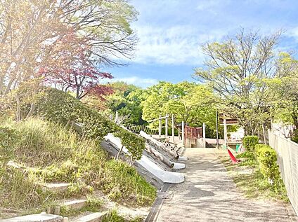 金城学院幼稚園 1102ｍ(徒歩14分)