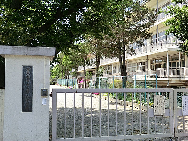 東久留米市立第六小学校（約10m）