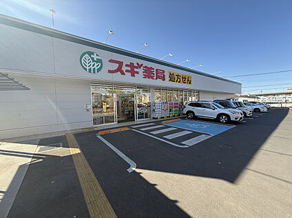 スギドラッグ清瀬旭が丘店 1020m