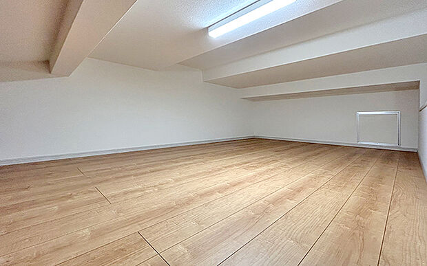 現地写真:小屋裏収納(1号棟)
