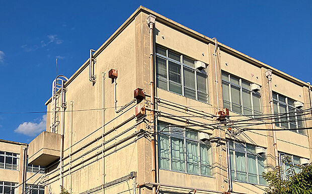 蜂ヶ岡中学校(約1,730m)