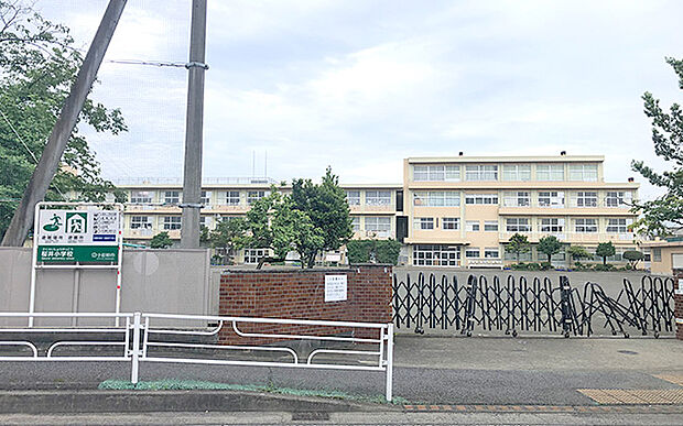 桜井小学校（約800m）