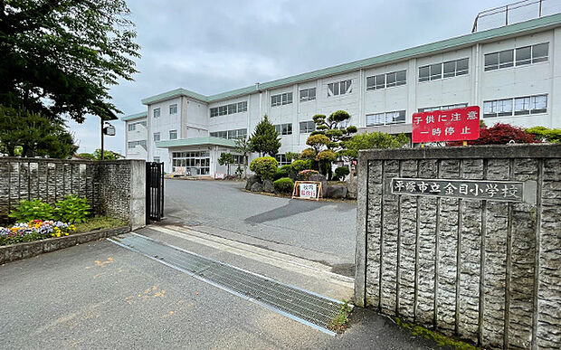 金目小学校（約920m）