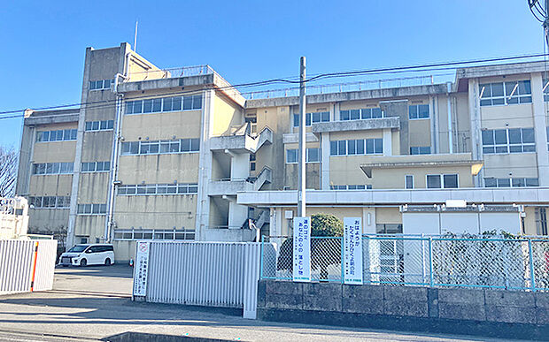 市立晃宝小学校（約1,100m）